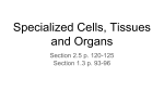 Specialized Cells, Tissues and Organs