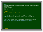 Economic systems in South Africa and Nigeria