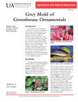 Grey Mold of Greenhouse Ornamentals