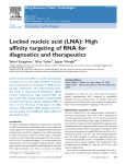 Locked nucleic acid (LNA): High affinity targeting of RNA for
