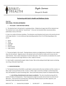 Class Notes - Spirit of Health