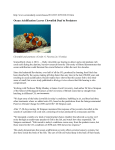 Ocean acidification leaves clownfish deaf to predators, June 2011