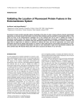 Validating the Location of Fluorescent Protein