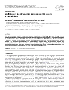 Inhibition of Golgi function causes plastid starch accumulation