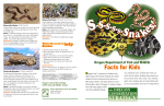 S-s-s-s-s-Snakes: Facts for Kids