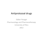 Antiprotozoal drugs