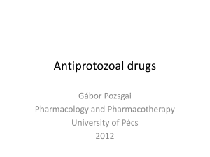 Antiprotozoal drugs