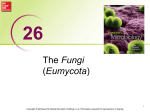 Fungi: Eumycota