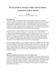 management of bleached and severely damaged coral reefs