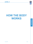 how the body works