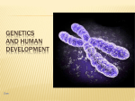 genetics and human development