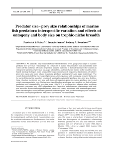 Predator size-prey size relationships of marine fish