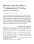 A Novel Two Domain-Fusion Protein in Cyanobacteria with