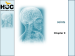 Joints - HCC Learning Web