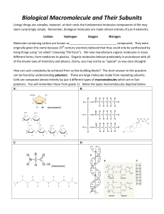 Biological Macromolecule and Their Subunits