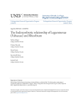 The Endosymbiotic relationship of Leguminosae (Fabaceae) and