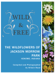 The Wildflowers of Jackson Morrow Park