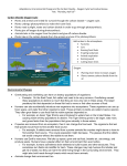 Carbon Dioxide-Oxygen Cycle • Plants and animals are linked for