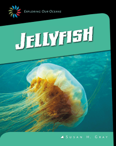 Jellyfish - bowlerschool.net