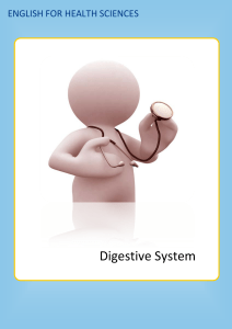 Digestive System - Campus Virtual Panamericana