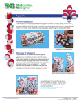 Aquaporin - 3D Molecular Designs