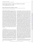 Separate Representations of Target and Timing Cue Locations in