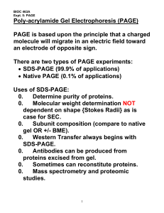 Poly-acrylamide Gel Electrophoresis (PAGE) PAGE is based upon
