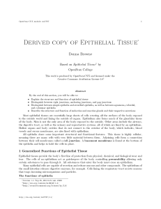 Derived copy of Epithelial Tissue