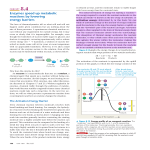 Enzymes speed up metabolic reactions by lowering