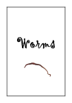 Worm Booklet_AmarooEEC