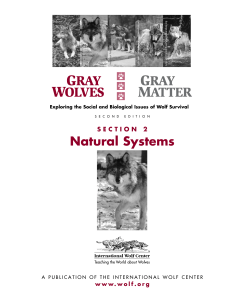 natural Systems - International Wolf Center