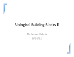 Biological Building Blocks II