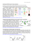 ChemEnergy NSF REU Research Projects and Mentors