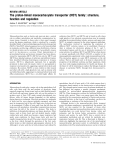 The proton-linked monocarboxylate transporter (MCT) family