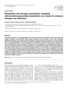 Respiration and nitrogen assimilation: targeting
