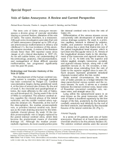 Special Report Vein of Galen Aneurysms: A Review and Current