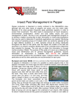 Insect Pest Management in Pepper - University of Maryland Extension