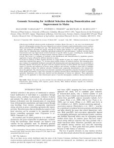 Genomic Screening for Artificial Selection during Domestication and