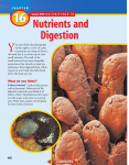 Chapter 16: Nutrients and Digestion