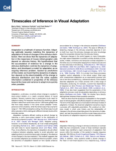 Timescales of Inference in Visual Adaptation