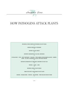 HOW PATHOGENS ATTACK PLANTS