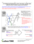 4.4 Grading the Explanations Tool: How does a potato plant