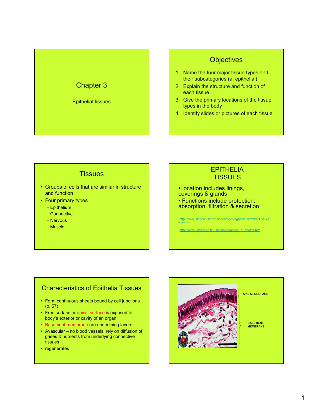 types of tissue