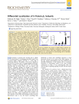 Differential Localization of G Protein βγ Subunits