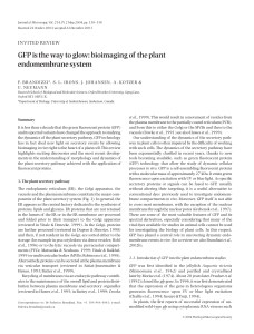 GFP is the way to glow: bioimaging of the plant endomembrane
