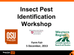 Insect Pest Identification Workshop