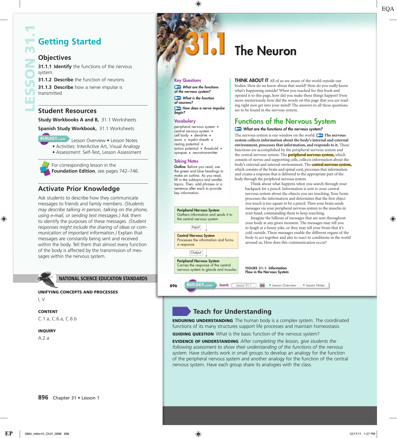 311 The Neuron Worksheet Answers