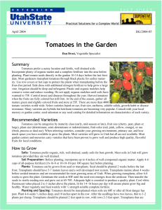 Tomatoes in the Garden - Utah State University Extension