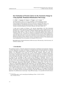 Size Estimation of Protein Clusters in the Nanometer Range by