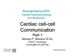 Cardiac cell-cell Communication